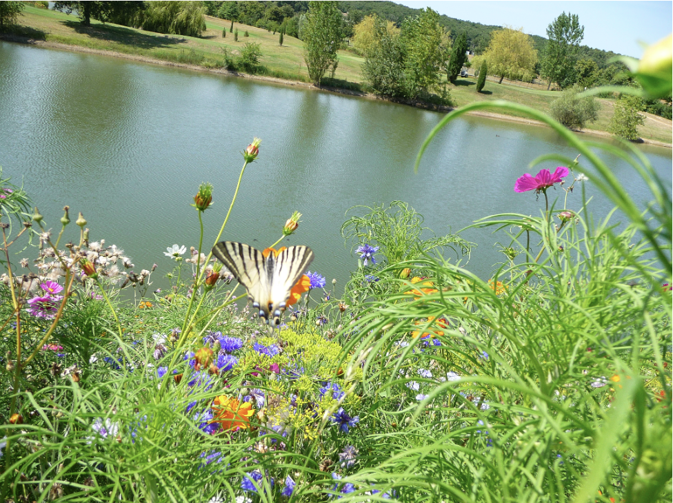 Le PREMIER TROPHEE BIODIVERSITE FFGREEN